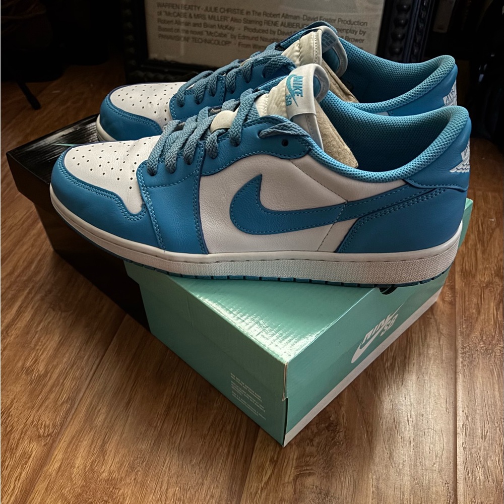 Eric Koston Nike Air SB Air Jordan 1 UNC / Powder Blue Size 13